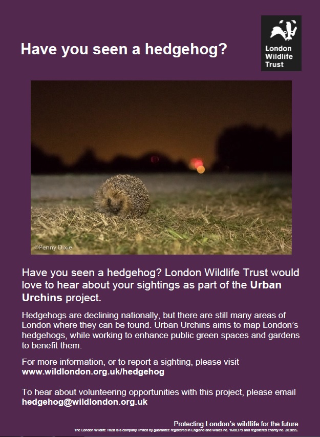 2018_02_05 Hedgehogs