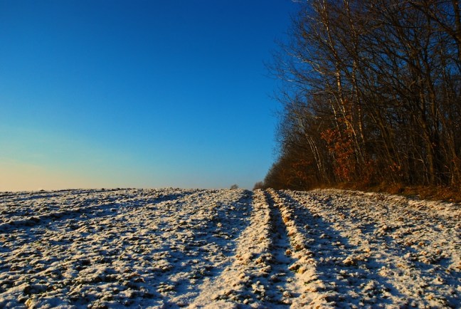 Winter Field © FreeImages St Mattox
