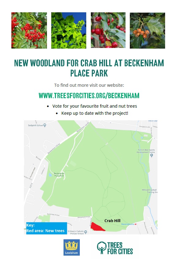 2018_12 Trees for cities consultation