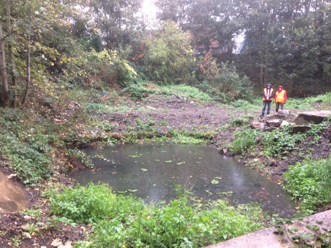 25 New Pond Ralph and Christine