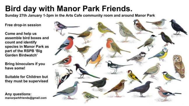 manor park bird