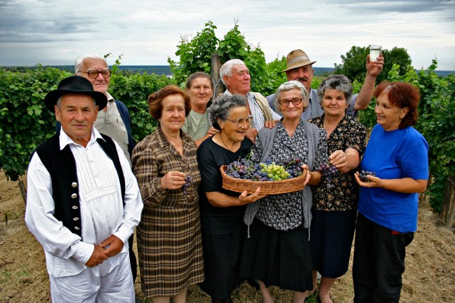 © Photo by Sava Marinkovic freeimages