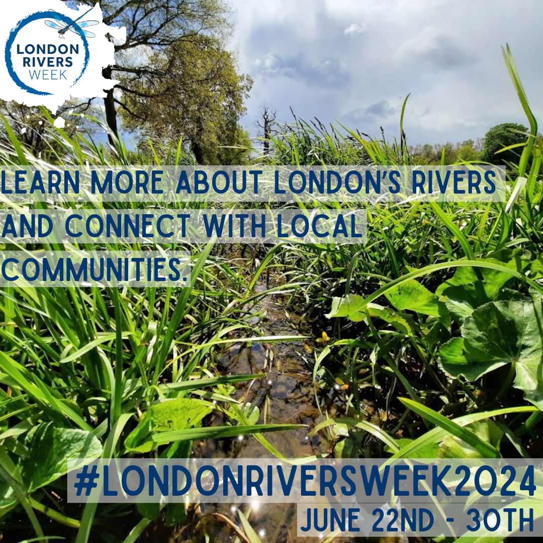 London Rivers Week 2024 – Nature Conservation Lewisham