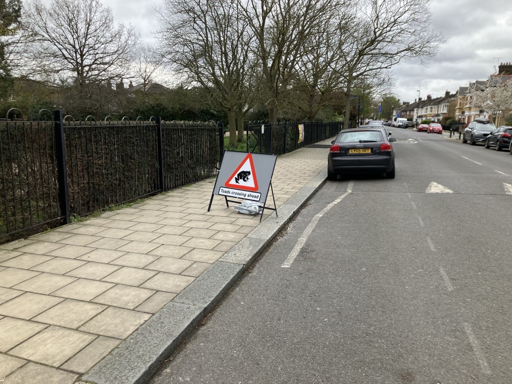 An image of a toad crossing sign next to a road